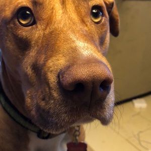 Meet your Posher, Christine